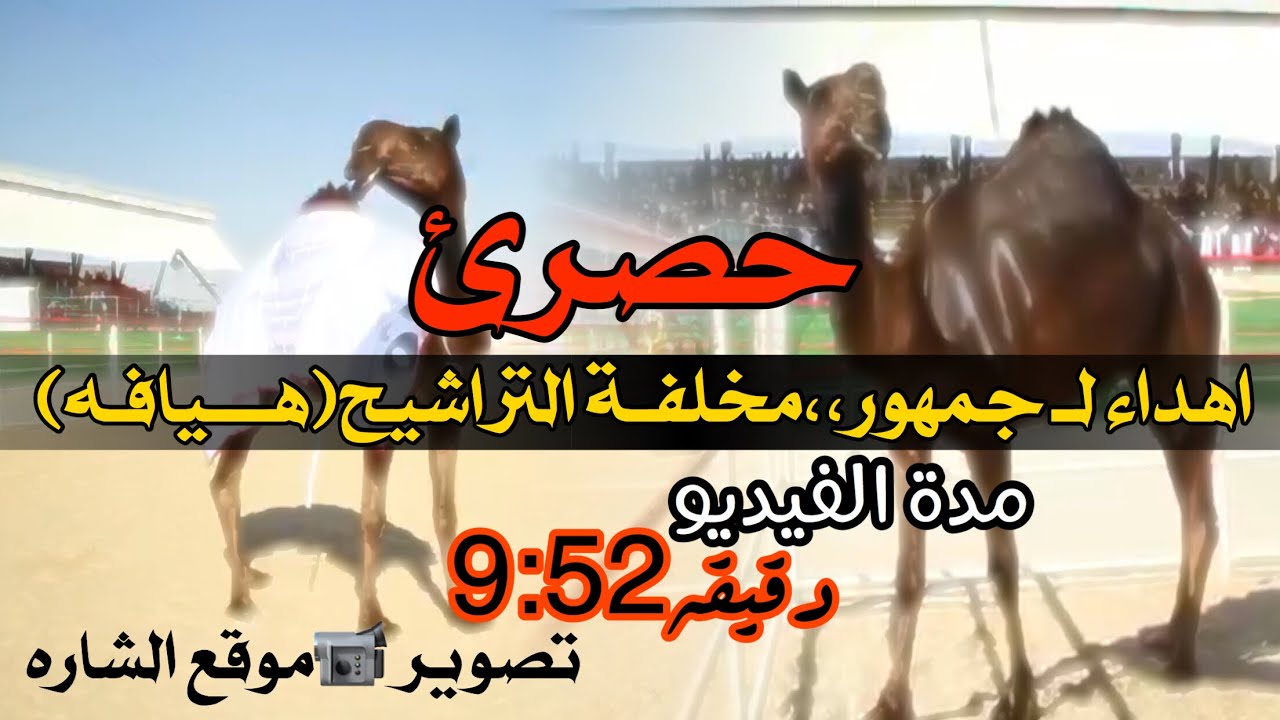 اهداء لـ جمهور هيافه لـ بن مقرن العامري اداء حمد الطويل