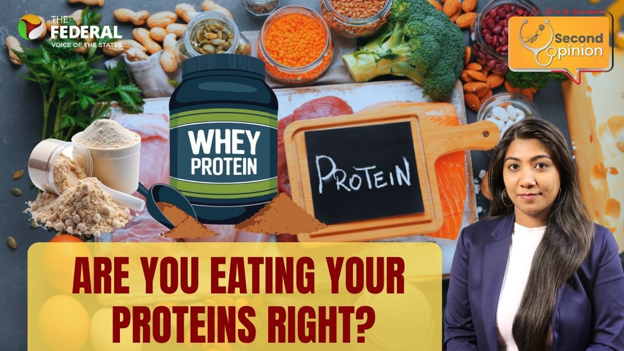 Second Opinion: Proteins: Right amount and right source matter | The Federal