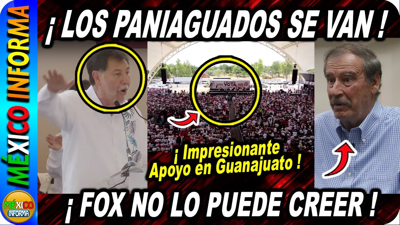 IMPRESIONANTE LO QUE ESTÁ PASANDO EN GUANAJUATO. FOX NO LO PUEDE CREER. SE VAN LOS PANIAGUADOS.