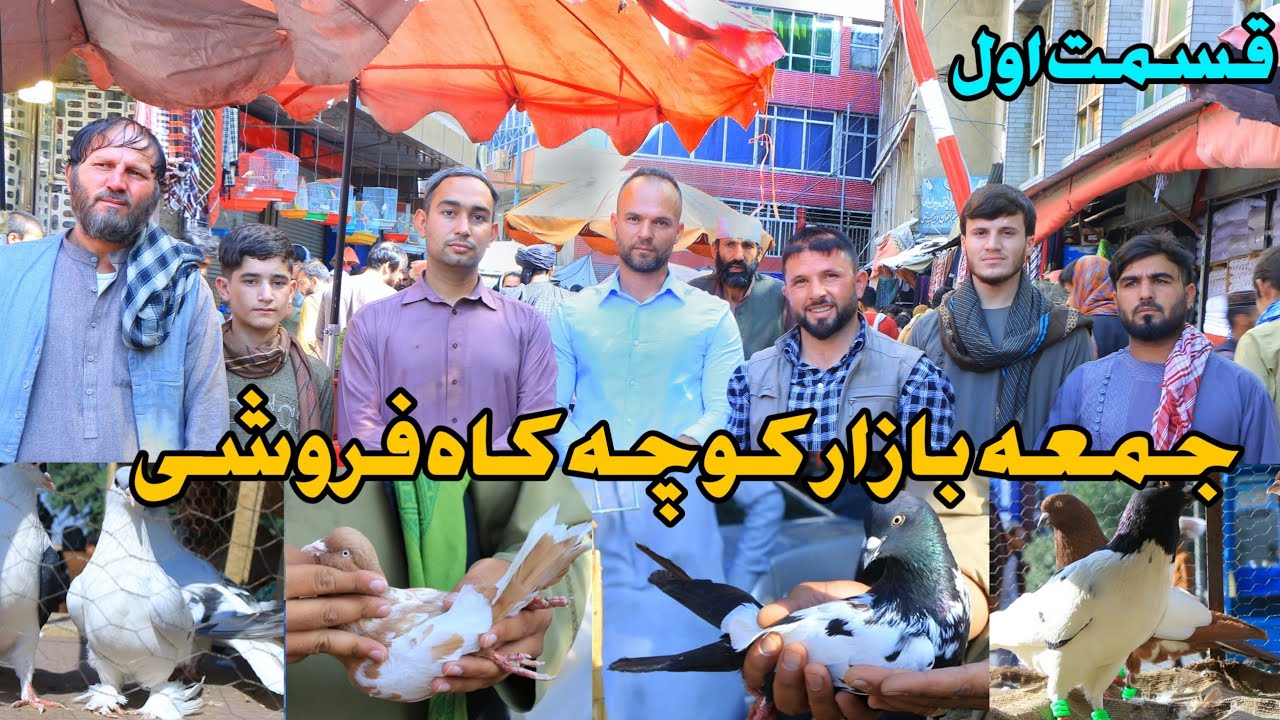 جمعه بازار- ارزانی بی سابقه | کفتر 25,000 هزاری به 4,000 هزار افغانی در بازار Friday Pigeon Bazar ♥