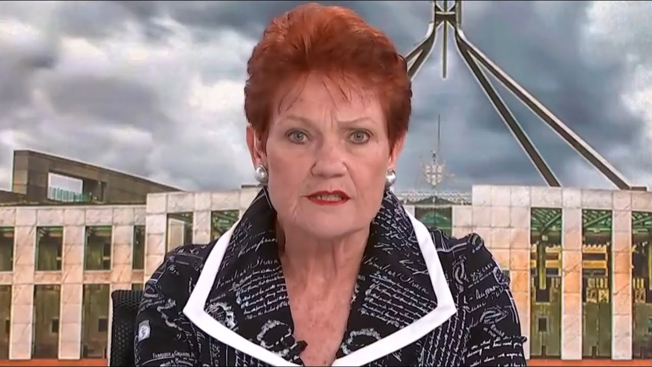 ‘Not skilled at all’: Pauline Hanson claims Australia is ‘drowning’ in unskilled migrants