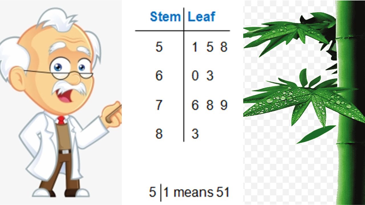 Stem & Leaf Plot in Statistics || Urdu/Hindi || TODAY'S TECH