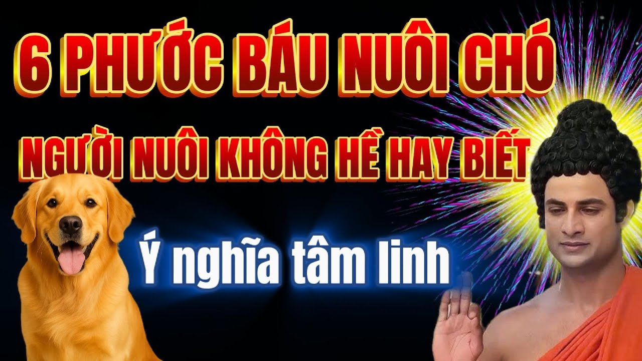 Tiết Lộ 6 Phước Báu Nuôi Chó - Mà Không Ai Nói Bạn Biết- Lời Phật Dạy!