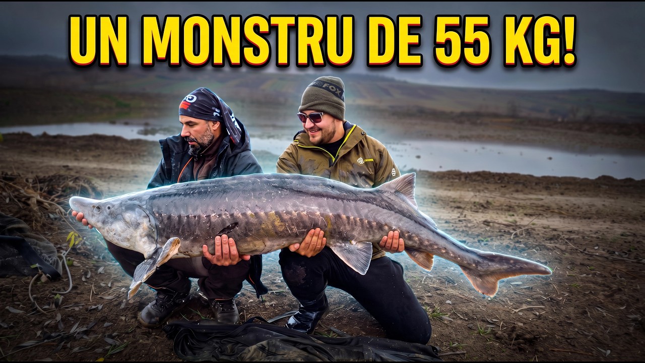 Cel mai mare PESTE prins de mine? STURION de 55 kg pe o lanseta de STIUCA?!