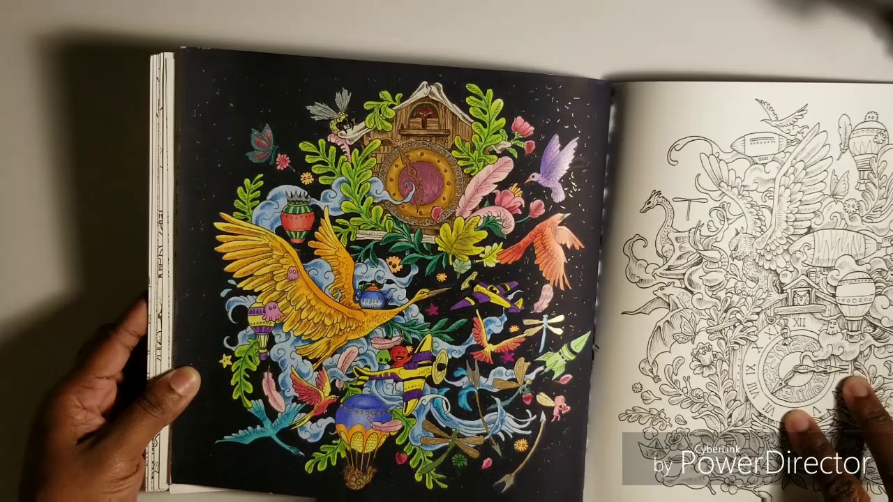My 1st video!! Introduction & Completed Coloring pages