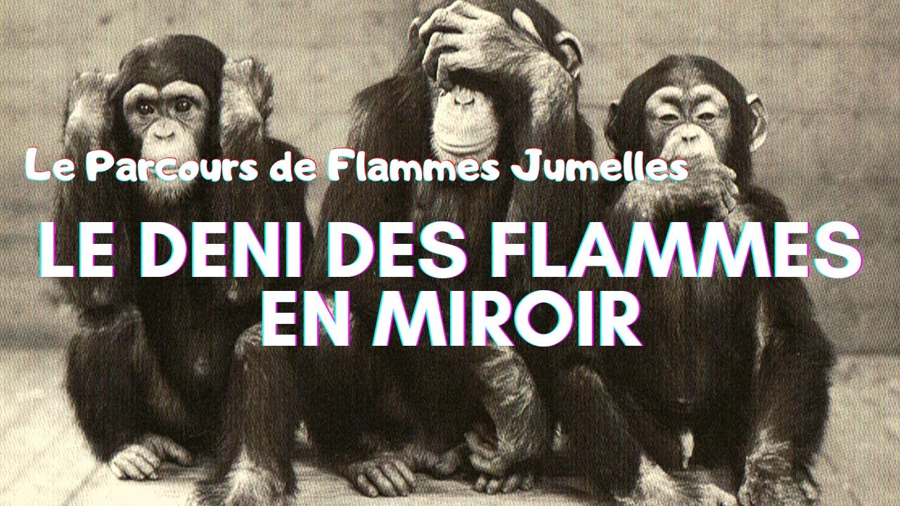 Flammes Jumelles : 🙉LE DENI🙈 DES FLAMMES🙉EN MIROIR🪞
