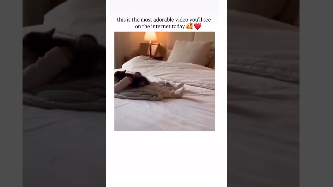 When cuteness meets cuteness 😍🐾 Baby cat and baby human bonding will melt your heart! 💖