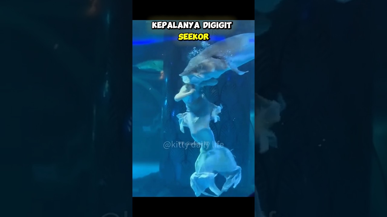KEPALA WANITA INI DIGIGIT HIU HINGGA MENJADI SEPERTI INI #gudangit #facts