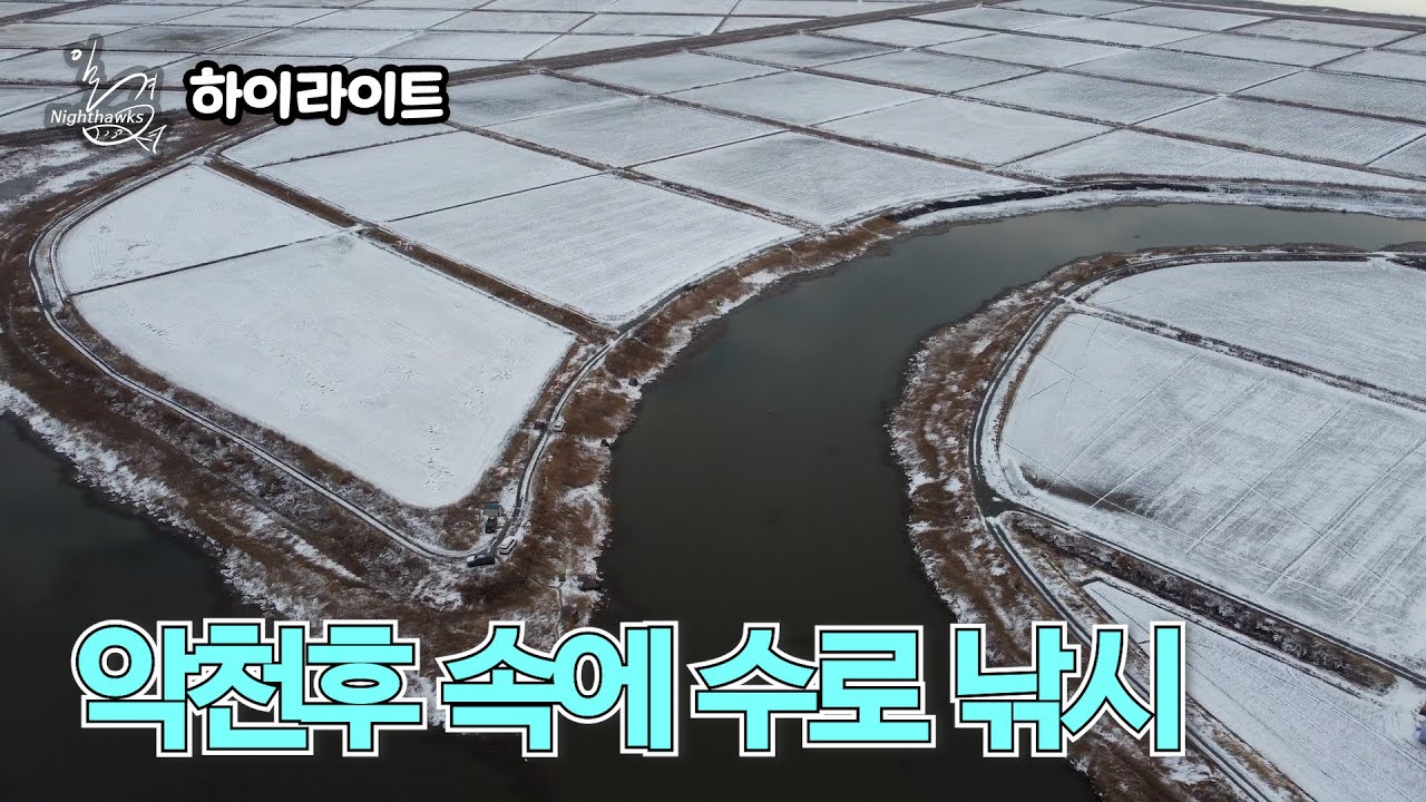 [하이라이트] 일격 나이트호크 36회 - 악천후 속에 수로 낚시 (2026.01.28.방송)