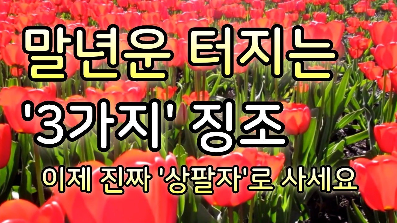 60세 이후 대박 날 사람, 반드시 '이런 변화' 생깁니다 | 말년운 터지는 징조 3가지