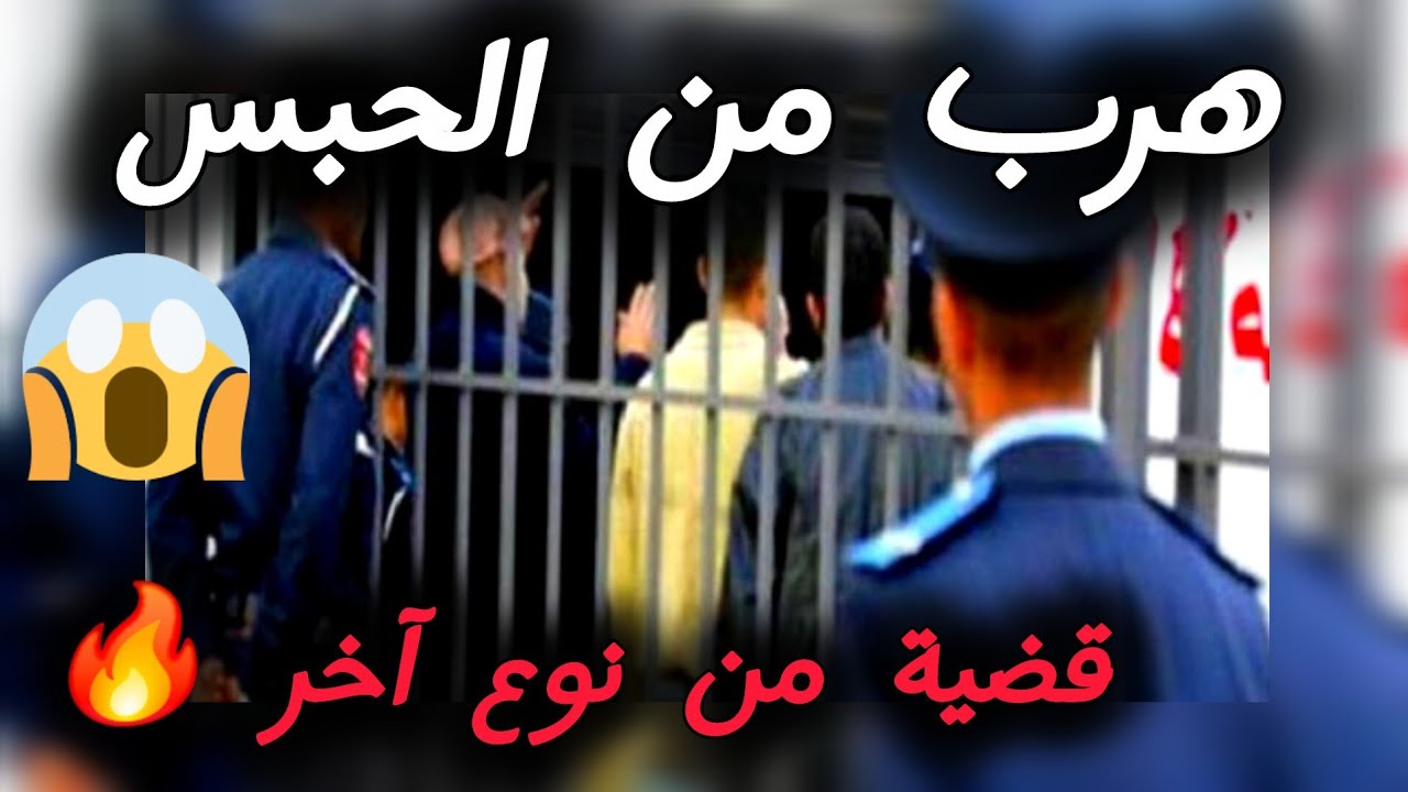 هر..ب من الحب..س بطريقة جهن...مية 🔥