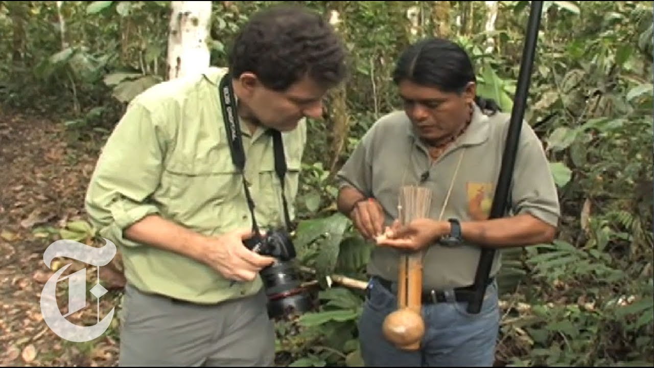Kristof in the Crosshairs: A Blowgun Showdown in the Amazon | The New York Times