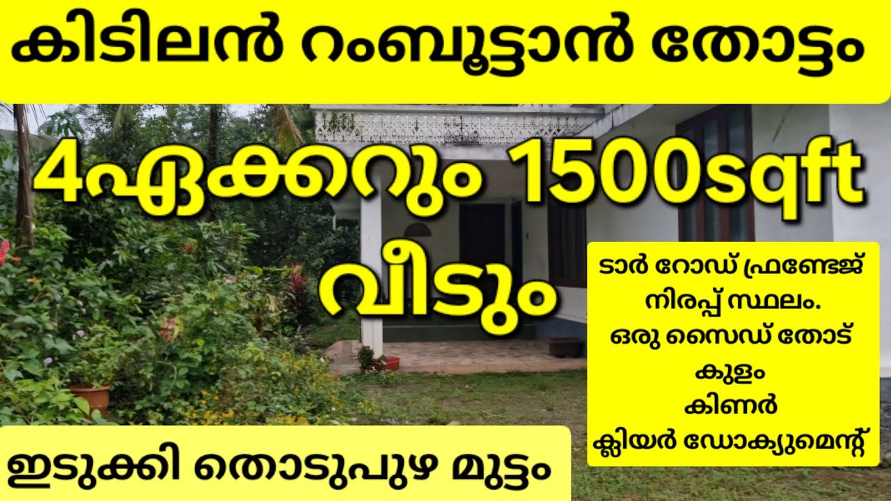 4ഏക്കർ റംബൂട്ടാൻ തോട്ടവും വീടും. ടാർ റോഡ് ഫ്രണ്ടേജ്. നിരപ്പ് സ്ഥലം. ഒരു സൈഡ് തോട് ഇടുക്കി തൊടുപുഴ 👇👇