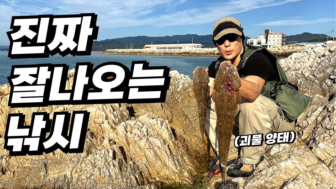 울진 루어낚시 좋네요-!맛도 좋고 힘도 좋은 녀석 잡으러 가세요~!