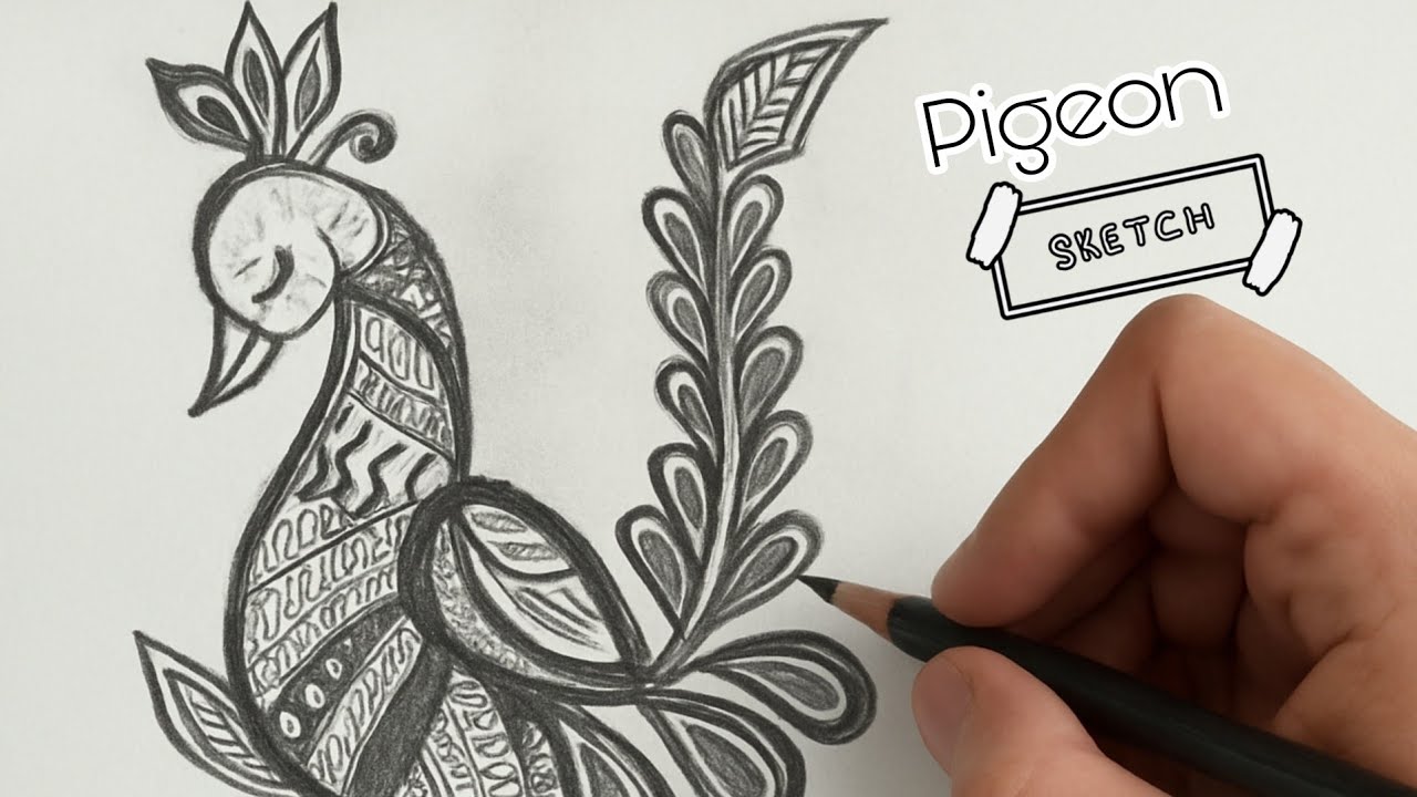 Pigeon Sketch Art | Doodle Sketch for Beginners | Aesthetic