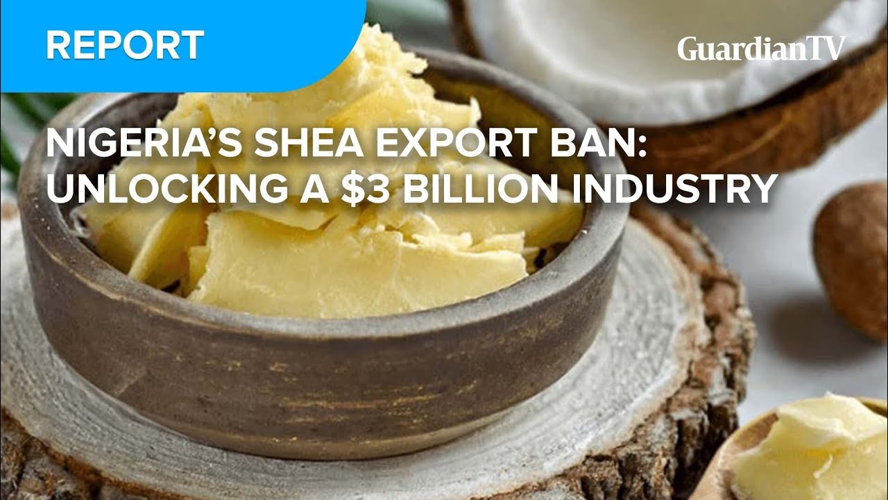 Nigeria's Shea export ban: Unlocking a $3 Billion industry