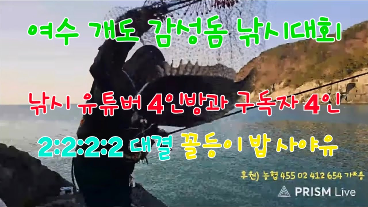 제 2 회 유튜버 4인방 여수 개도 감성돔 낚시대회. 구독자와 함께해요. 🤗 #여수 #여수 #감성돔 #당두호 #낚시 #fish #fishing #fishingvideo