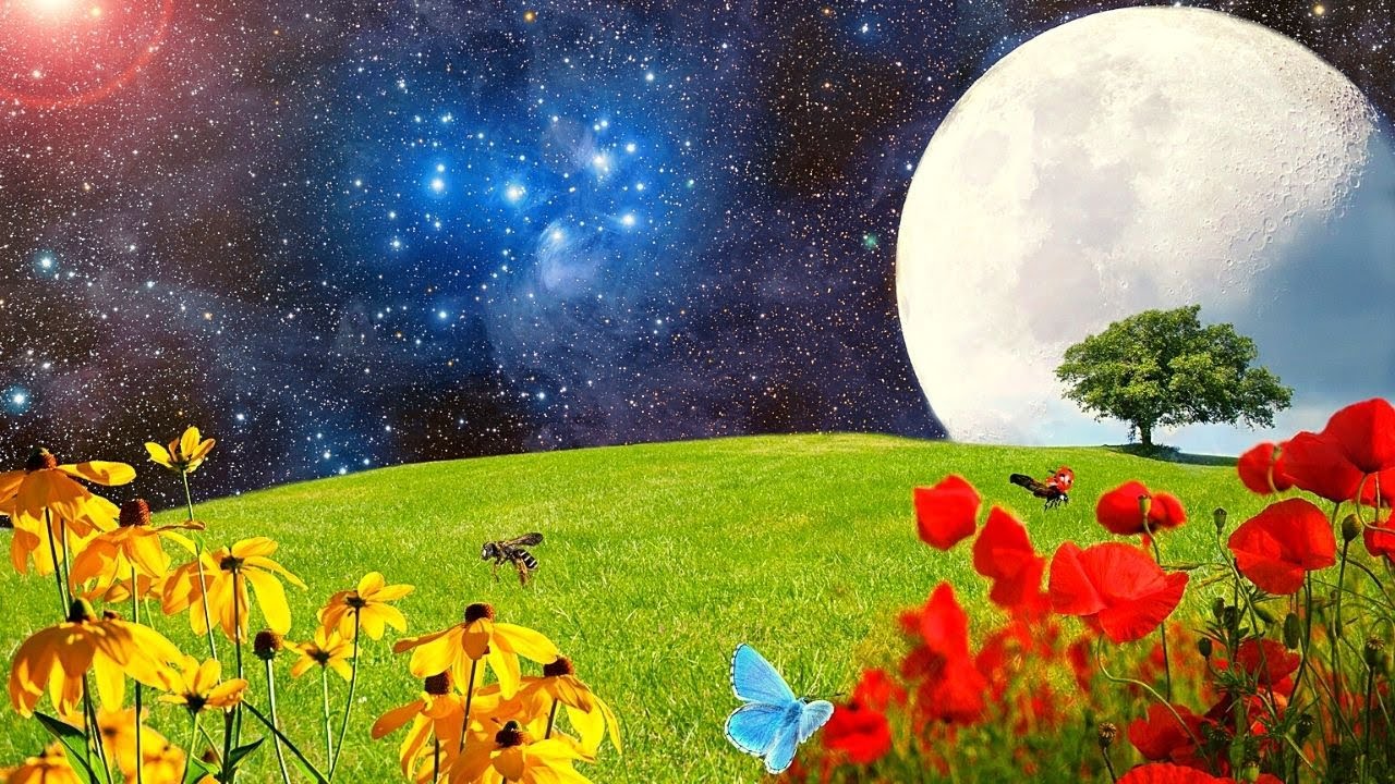 12 Tracks of Relaxing Sleep Music, Vol. 1