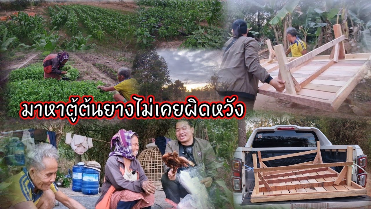 มาหาตู้ต้นยางไม่เคยผิดหวัง 2 กุมภาพันธ์ ค.ศ. 2026