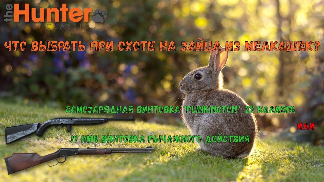 theHunter Classic/Эксперимент: Какую винтовку выбрать при охоте на зайца?/.17HMR или .22Plinkington