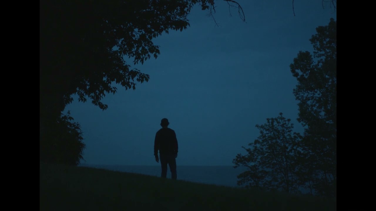 Ollie - paralyzed