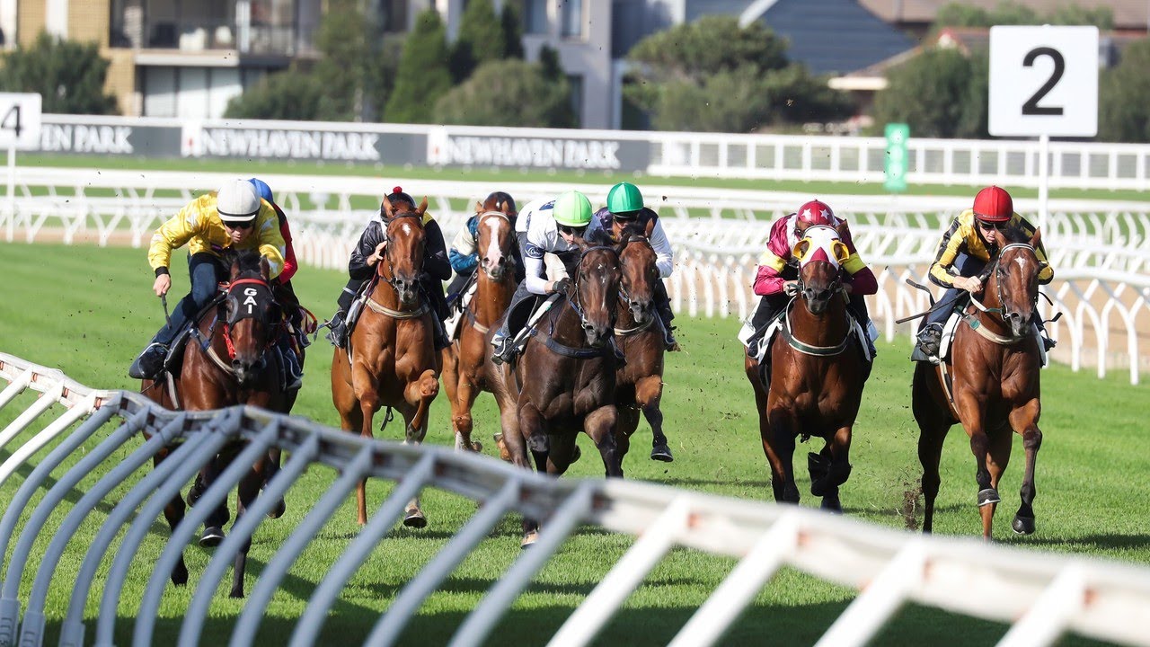 Day two: The Star Championships Randwick