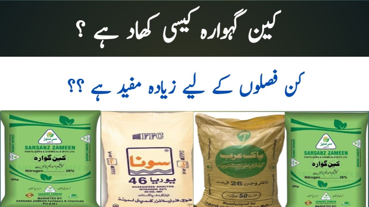 What is Calcium Ammonium Nitrate (CAN) fertilizer || کین گہوارہ کھاد | Shahzad Munir