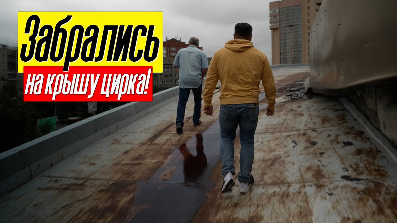 ЗАБРАЛИСЬ НА КРЫШУ ЦИРКА! Дима возьми телефон! Виталий Смолянец и его империя львиц