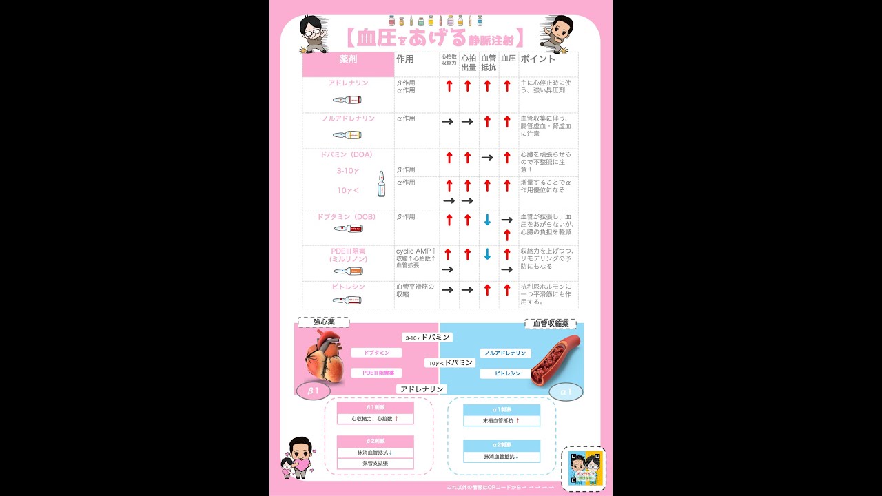 【資料あり】昇圧剤一覧！