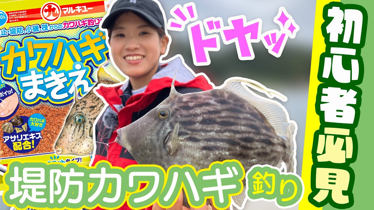 【初心者必見】簡単に釣れる、堤防からのカワハギ釣り！