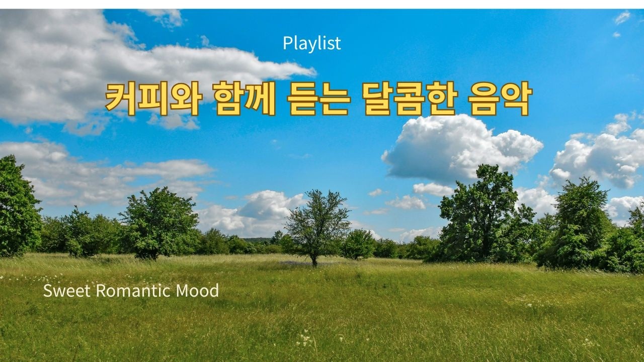 [playlist] Чтобы расцвел один цветок: 5 часов тайных разговоров для кафе (Full Album) Без рекламы