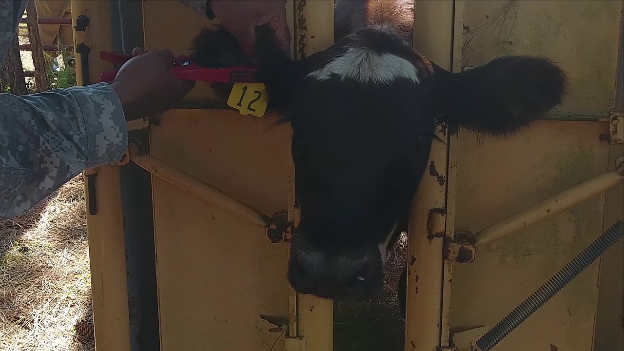 HK Farms 2018 Workshop