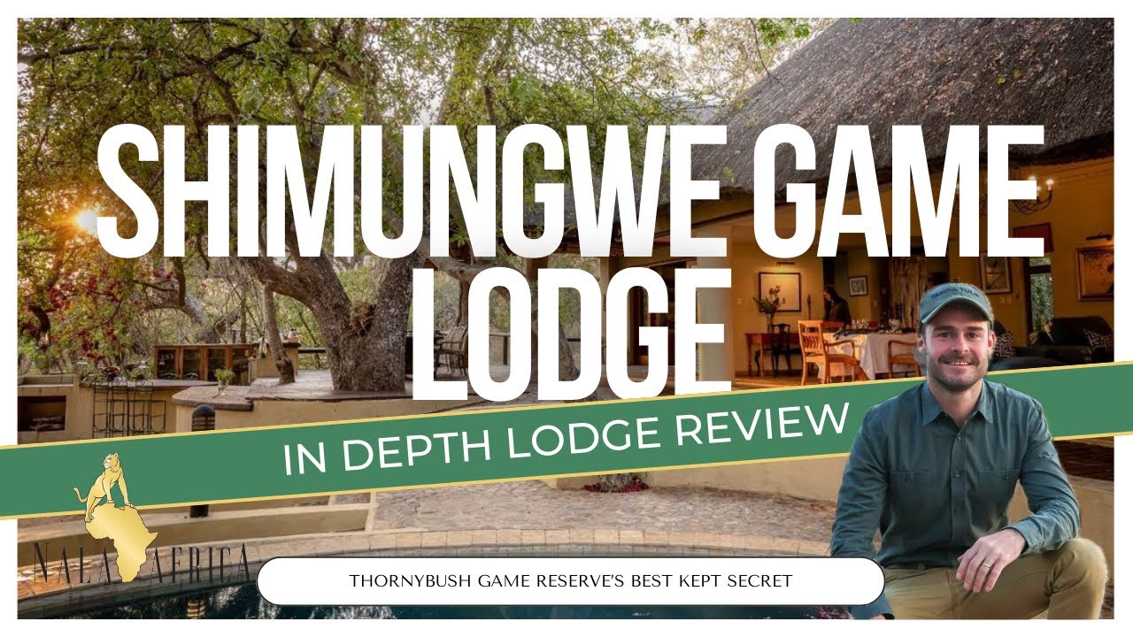 Отзыв о Shimungwe Game Lodge - Thornybush Game Reserve 🐾