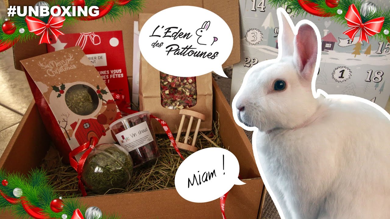 #UNBOXING de Noël l'Eden des Pattounes - friandises pour lapins