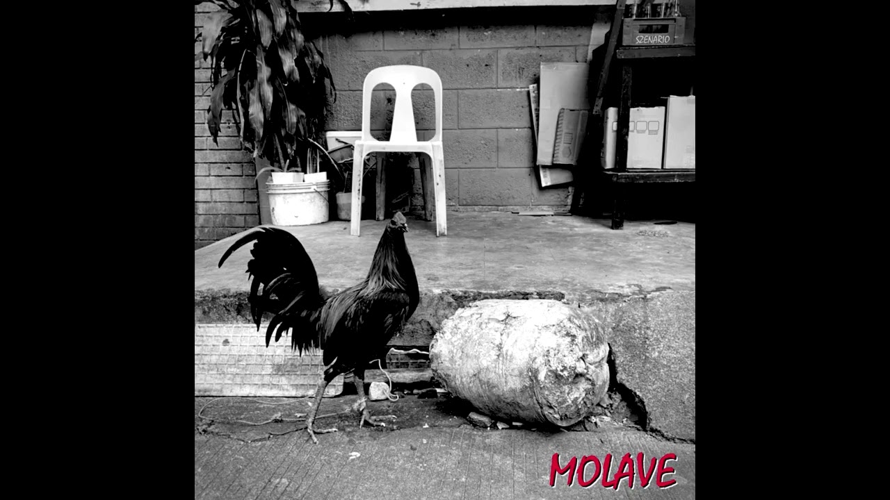SZENARIO - MOLAVE