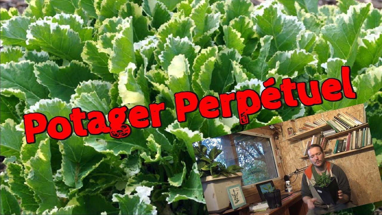 Le Potager Perpétuel