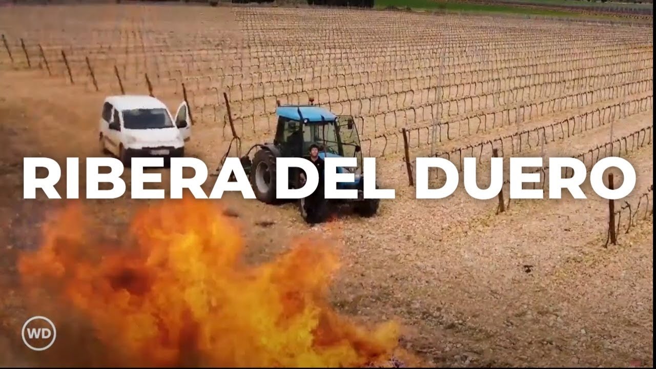 Lo Que Hace Famosa A Ribera del Duero