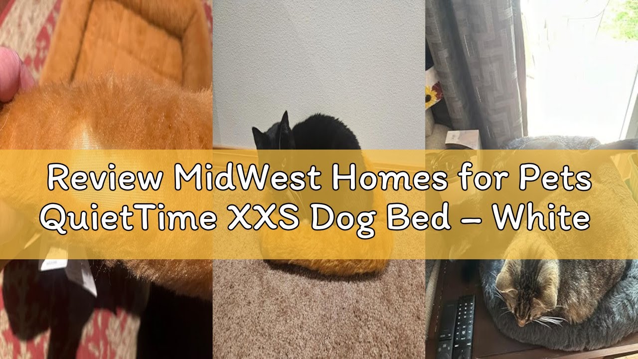 Review MidWest Homes for Pets QuietTime XXS Dog Bed – White Fleece Bolster, Ultra-Soft and Machine W