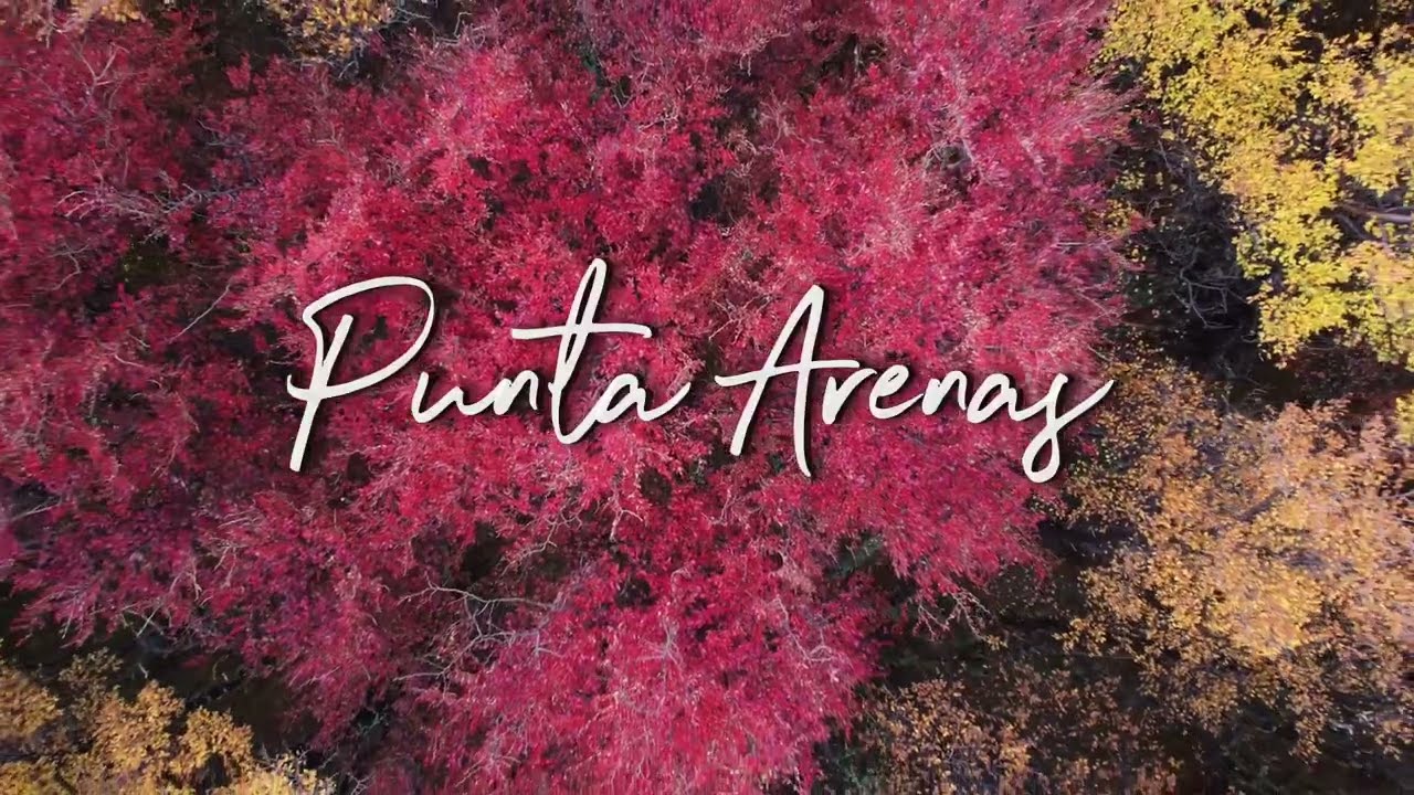 Punta Arenas 🇨🇱  DRONE DJI 4K