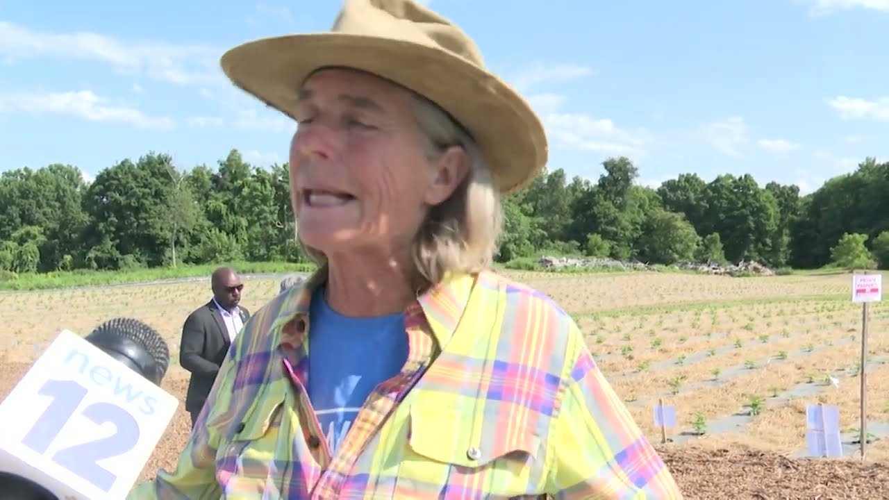 Office of Cannabis Management members tour Ulster County cannabis farm