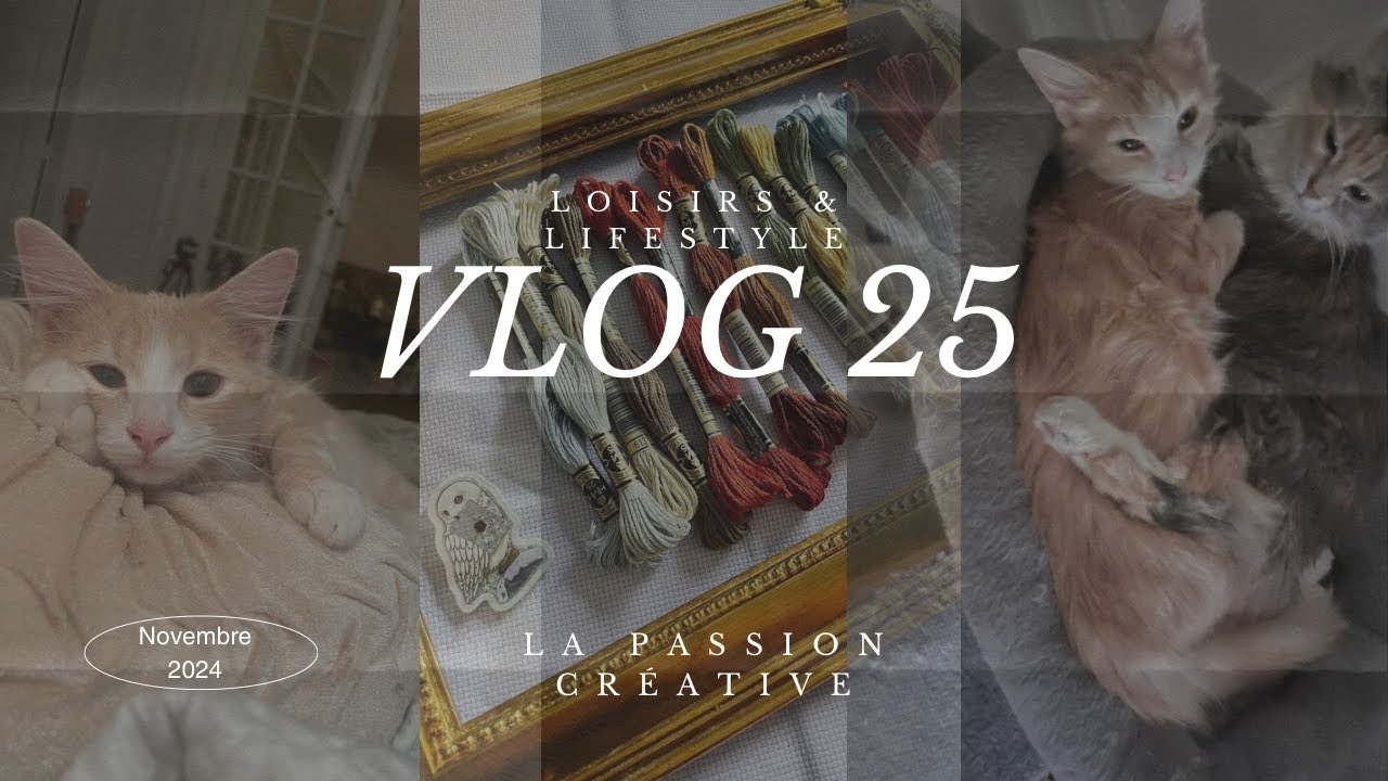 🍿[VLOG NOVEMBRE2024] je vous présente Jacques - je suis trop bavarde - lifestyle & loisirs créatifs