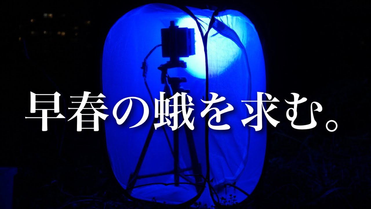 早春の暗闇でライトをつけると…？