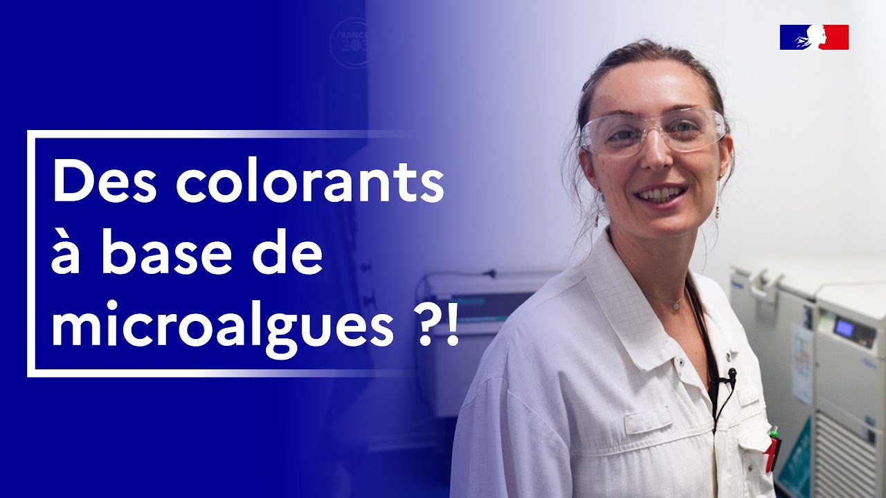 Les microalgues : une solution pour un futur durable ? I Reportage