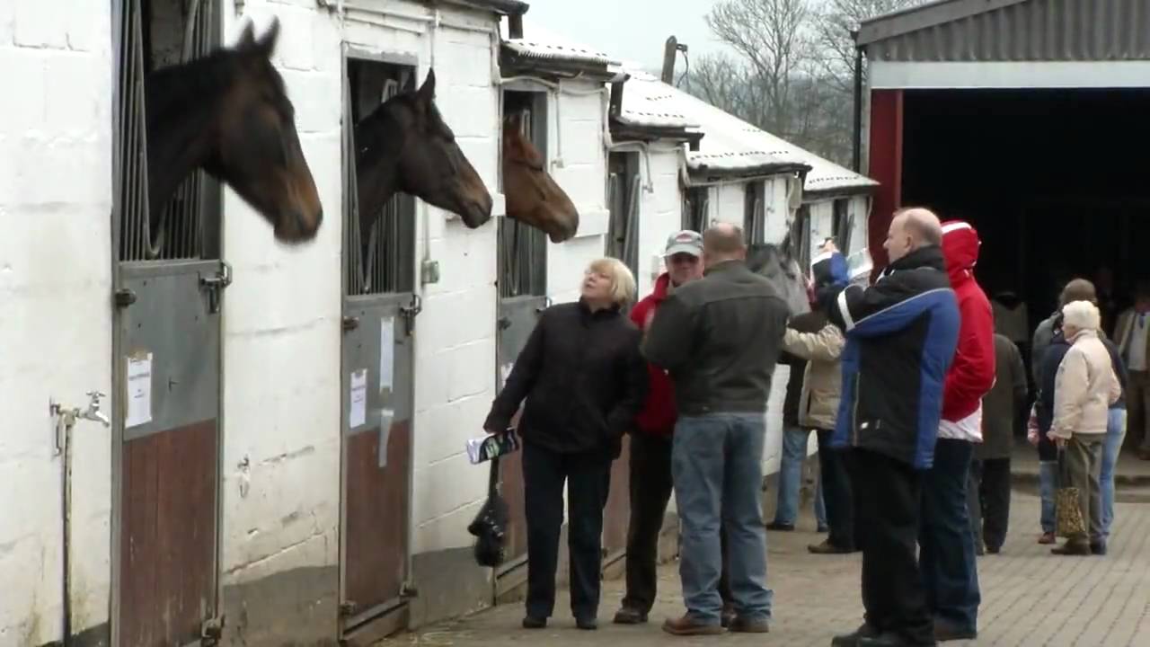 iSPI TV - Middleham Stables Open Day 2010
