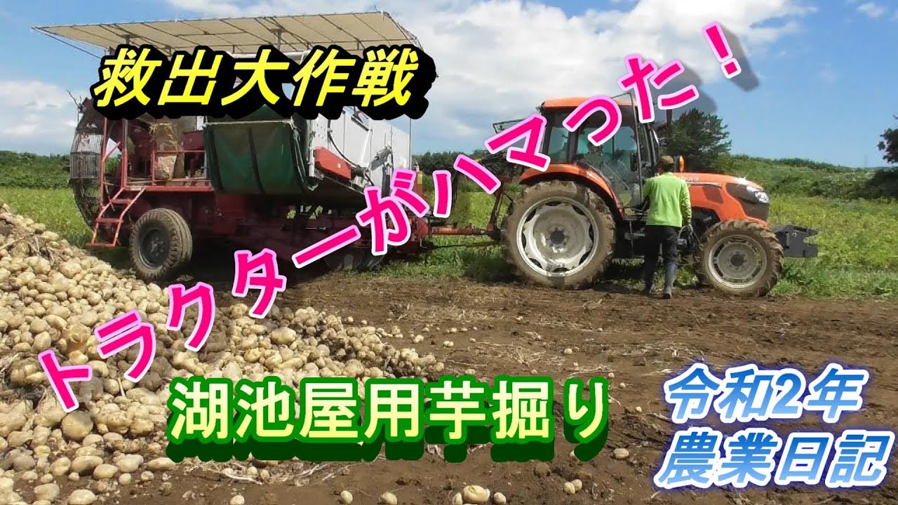 トラクター救出大作戦　湖池屋用芋掘り開始