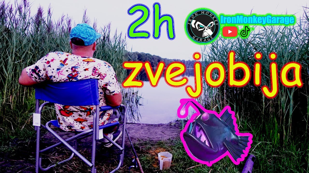 ZVEJOBIJA!
