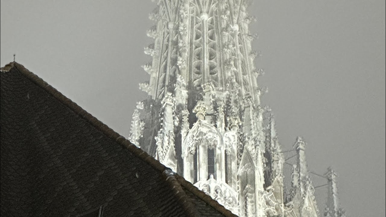 Österreichische Bundeshymne im Wiener  Stephansdom am Nationalfeiertag 2024