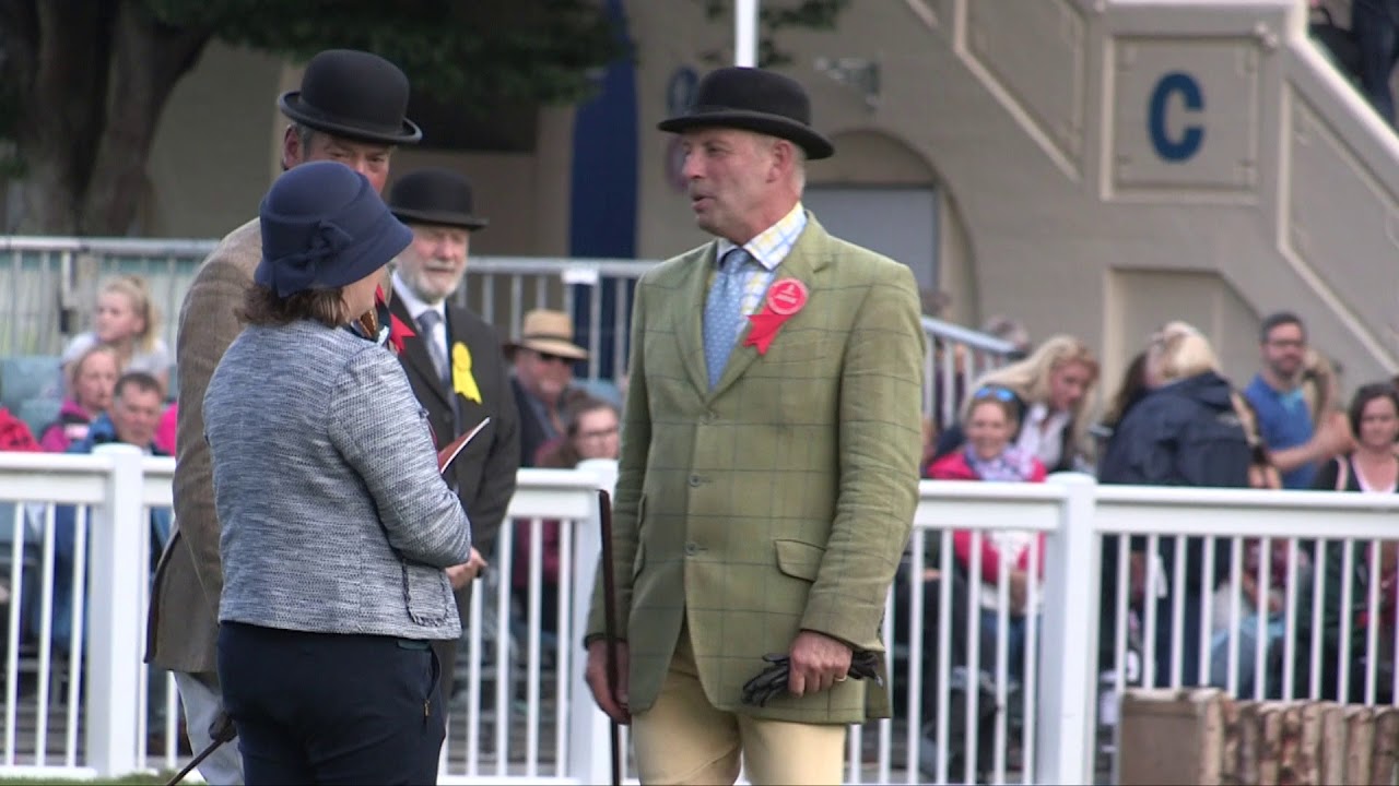 Dublin Show Stylish Cob People