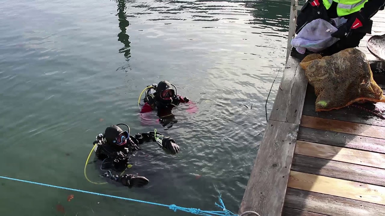 Storst&auml;dning av Dockan Marina 12 november 2017