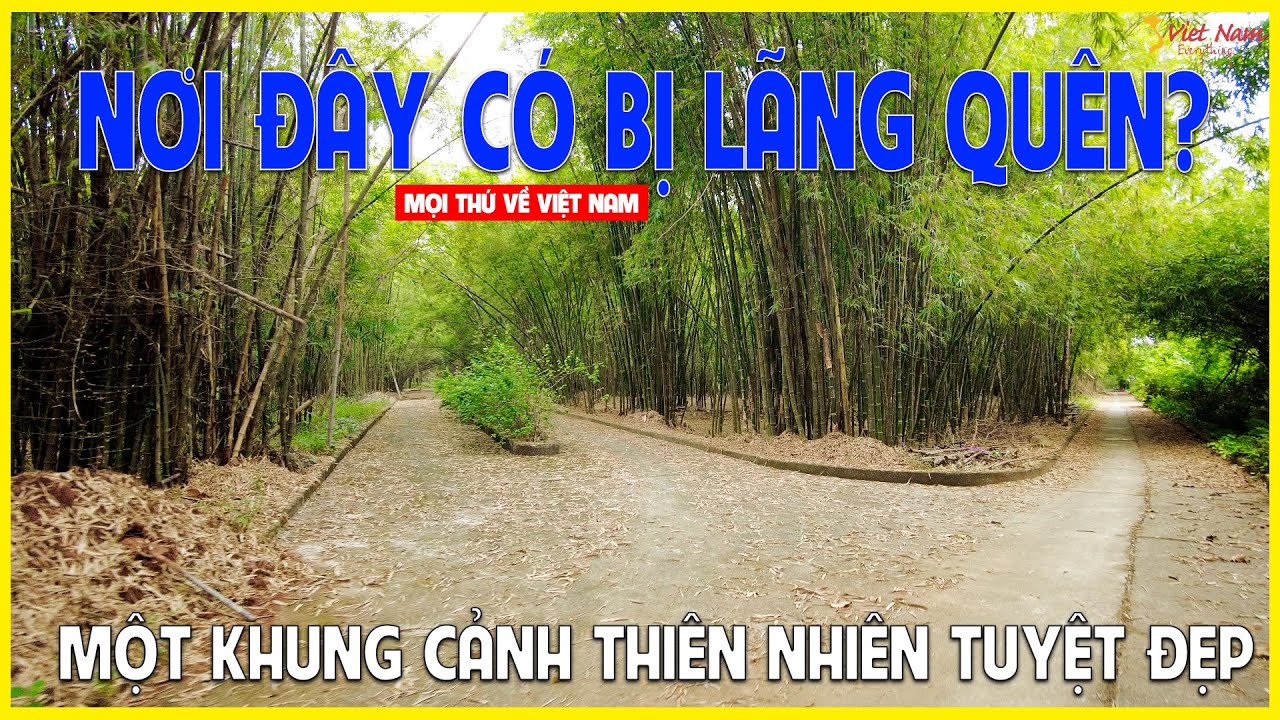 LÀNG TRE PHÚ AN | MỘT KHUNG CẢNH THIÊN NHIÊN ĐẸP TUYỆT VỜI | Bến Cát Ngày Nay